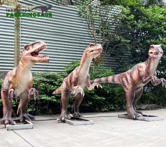 Velociraptor în mărime naturală populară pentru spectacol